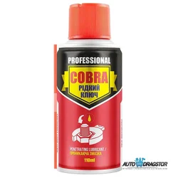 SREDSTVO ZA UKLANJANJE KOROZIJE 110ML U SPREJU