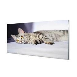 tulup.si Steklena slika Leži mačka 120x60 cm 2 obešalnika