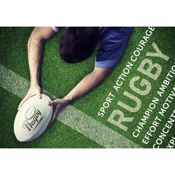BlueBird - Puzzle Rugby Touch - 500 kosov