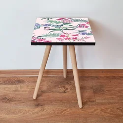 Hanah Home Klub sto Shp191, 35x42x35 cm, Šareni