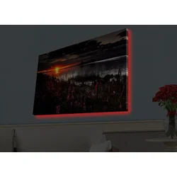 Wallity Slika sa LED osvetljenjem 4570HDACT-002, 45x70 cm