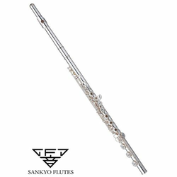 flavta SANKYO CF301 RBE/HEAVY