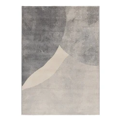 Siva preproga 140x200 cm Monic – Universal