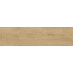 Namir Sand 30x120
