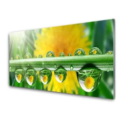 tulup.si Slika na steklu Stem dew drops rastlin 100x50 cm 2 obešalnika