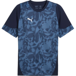 Puma Dres teamCUP Training Jersey