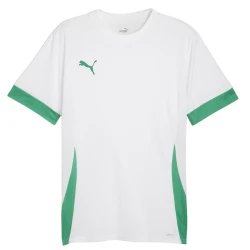 Dres Puma teamGOAL Matchday Jersey