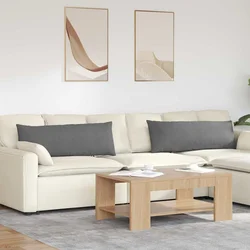Jastučići za sofu 2 pcs Tamno siva 120 x 40 cm tkanina