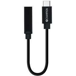 Champion Adapter USB-C na 3,5 mm DAC črn