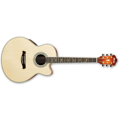 IBANEZ elektro akustična kitara AEL40S-RLV