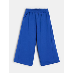 Sinsay - Donji deo trenerke wide leg sa flisom - indigo
