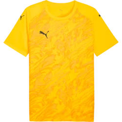 Puma Dres teamFINAL Graphic