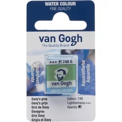 Van Gogh Watercolour Pan Davys Grey