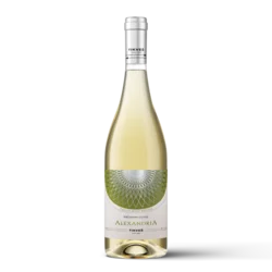 TIKVEŠ Alexandria Cuvee belo vino 0.75L