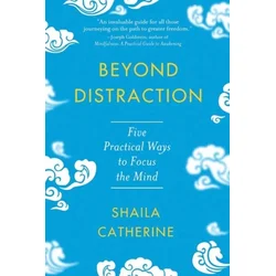 Beyond Distraction