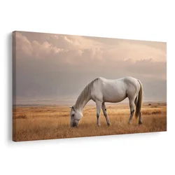 Slika miren konj na pašniku - 60x40