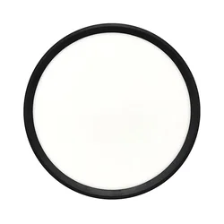 LED plafonsko svetlo LED/24W/230V 3000/4000/6500K pr. 30 cm crna