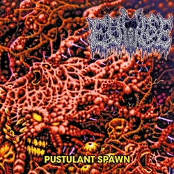 Evulse - Pustulant Spawn (LP)