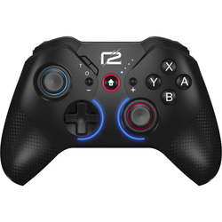 Gamepad R2G NSW Wireless Switch Pro X