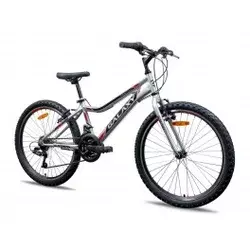 Galaxy Festina 24 sivo crno crven