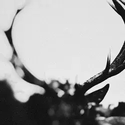 Ihsahn - Ihsahn (Orchestral) (2 LP)