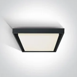 STROPNA SVJETILJKA LED 30W 2500lm IP54 CRNA