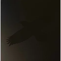 SIGUR ROS - ODINS RAVEN MAGIC