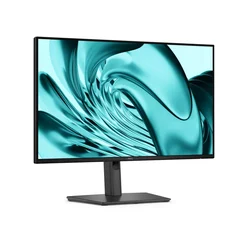 DELL 23,8 P2426H 120Hz profesionalni IPS monitor
