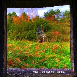 Edward Ka-Spel - The Sympathy Portal (LP)
