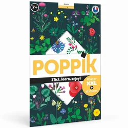 Poppik Edukativni poster s nalepnicama XXL Otkrića: Botanika 6+