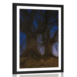 Plakat s paspartujem drevesa v nočni pokrajini - 40x60 white