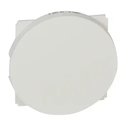 SLIJEPA PLOCICA BIJELA