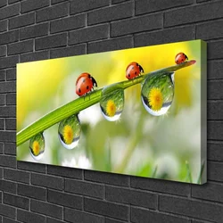 tulup.si Slika na platnu Leaf ladybugs narava 100x50 cm