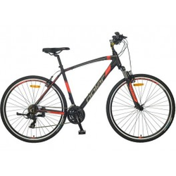 POLAR Forester Comp 28
