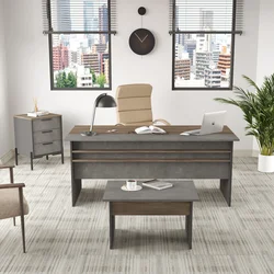 Hanah Home Kancelarijski set Šareni