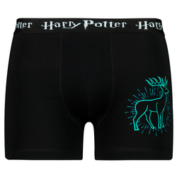 Mens boxer Harry Potter - Frogies