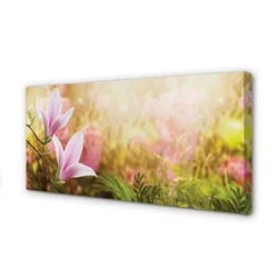 tulup.si Slika na platnu Magnolia drevo sonce 120x60 cm