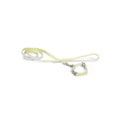Beeztees Puppy Set Collar Leash 20-30 cmx10 mm Yellow