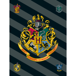 Jerry Fabrics Flissova odeja Harry Potter HP067 Poliester, 100/150 cm