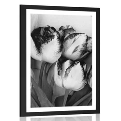Plakat s paspartujem spomladanski tulipani v črnobeli varianti - 30x45 no frame