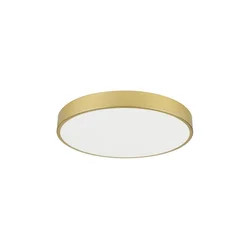 Immax NEO 07293L - LED+CCT prigušiva plafonsko svetlo SEMPLICI 60W/230V prečnik 60 cm + daljinski upravljač