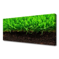 tulup.si Slika na platnu Grass nature rastlin 125x50 cm