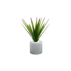 Atmosphera aloe vera u saksiji 44x47cm pe/dolomite/kamen siva ( 145025 )