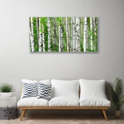 tulup.si Slika na steklu Narava rastlin forest trees 120x60 cm 4 obešalnika