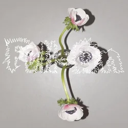 Klara Lewis & Nik Colk Void - Full On (LP)