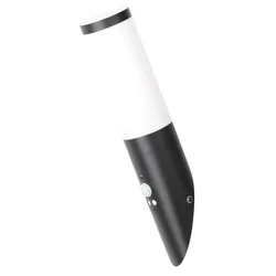 RABALUX Spoljno zidno svetlo black torch crno