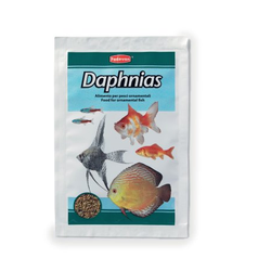 Padovan Daphnias 5g