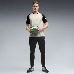 PUMA IndividualFINAL Slim Training Pants Men, Clothing, Desert Dust/White, M