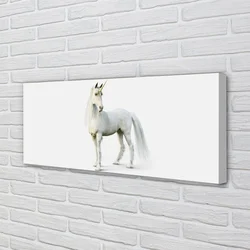 tulup.si Slika na platnu Bela samorog 140x70 cm
