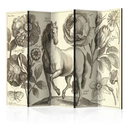 artgeist Paravan Horse I, 5-Delni, Dvostranski